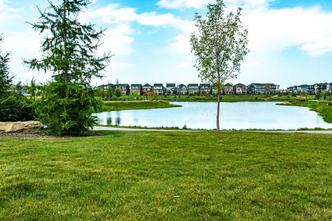 Cochrane Luxury streetscape