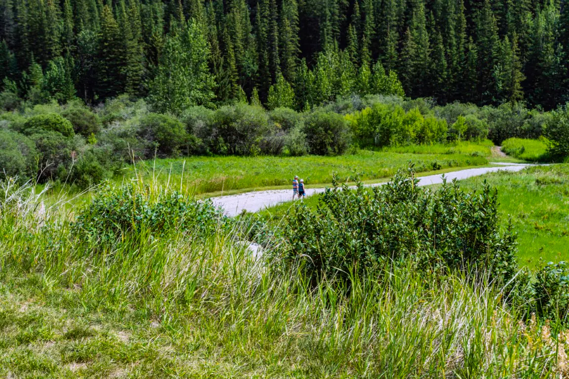 Cochrane Luxury community in Calgary